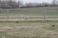 IMG_1497.jpg