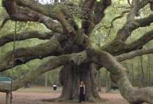 angeloak-home.jpg