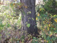 IMG_0828.jpg