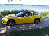 vette.jpg