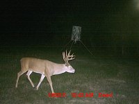 MDGC0039.JPG