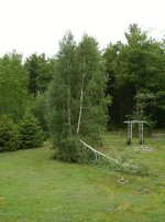 Storm Damage June 6, 2010 004.jpg