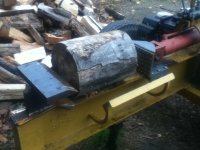 IMG_0023.JPG