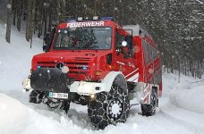 fd7.jpg