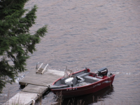 image-1232589196.png