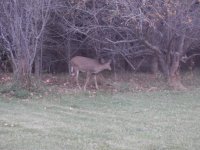 to sort 10-12-2011 111.jpg
