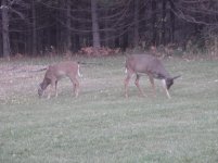 to sort 10-12-2011 118.jpg