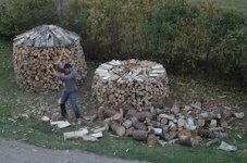 roundwoodpiles2.jpg