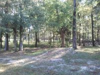 2011-11-01 09.57.42.jpg