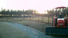 Temp pasture day 3-1.jpg