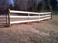 Temp Pasture day 2.jpg