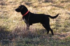 IMG_5628_2.jpeg