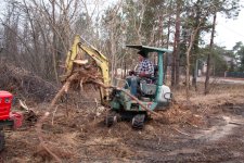 stumps.jpg