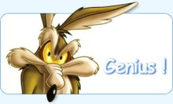 wile-coyote-A.jpg