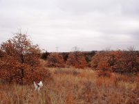 DSC00671.jpg