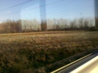 IMG_20111121_161212.jpg