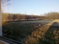 IMG_20111121_161313.jpg