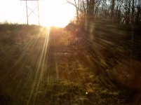 IMG_20111121_161332.jpg