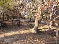 DSC01480.jpg