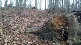 2011-11-20_16-24-14_60.jpg
