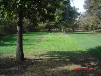 PlotPics001-1.jpg