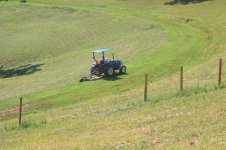 back field (29).JPG