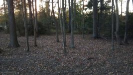Resampled_2011-11-06_16-56-22_321.jpg