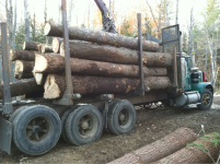 image-3113822026.png
