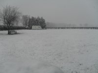 SDC11663.JPG
