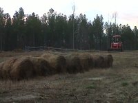 IMG-20120102-00235.jpg