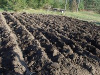 Furrows.JPG