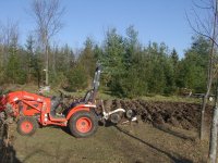Krusty & plowed garden.JPG