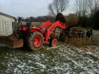 IMG00138-20120105-0935.jpg
