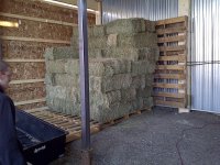 IMG-20111106-00064.jpg