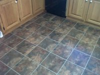 IMG-20111107-00152.jpg