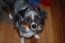 DSC_4924.jpg