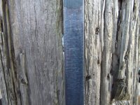 12-17-11 oil web.jpg