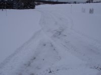 P1010004.JPG
