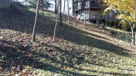 a2011-11-06_14-13-01_710.jpg