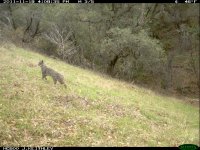 IMG_0038.JPG