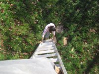IMG_2242.JPG