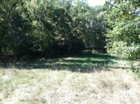 IMG_0430.jpg