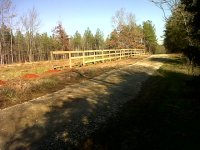 Temp Pasture Day 5-1.jpg