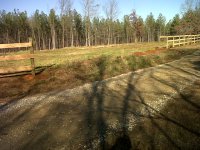 Temp Pasture Day 5-2.jpg