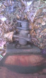 IMAG0495.jpg