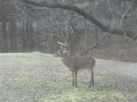 image-261027427.png