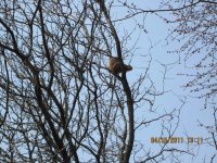 IMG_0024.jpg