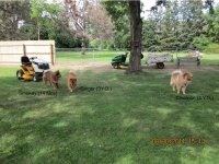 IMG_0028a.jpg