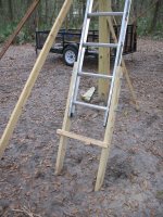 IMG_7963ladder.jpg