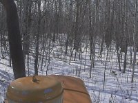 dozer trail 1.jpg